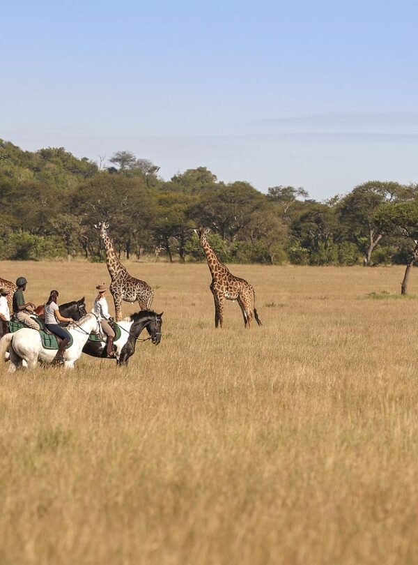 Horse riding safaris in Kenya at Ol Donyo Lodge